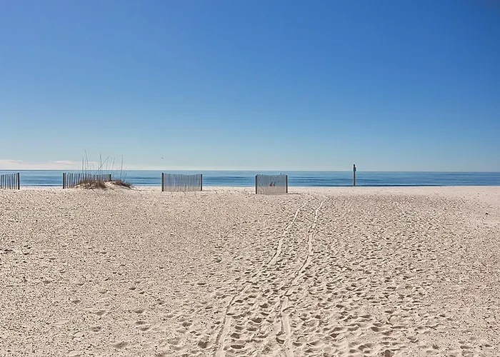 Clearwater 2c *